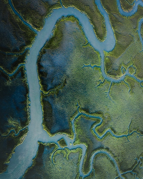 Wetland Restoration